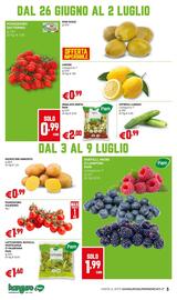 Volantino Kanguro Pagina 3