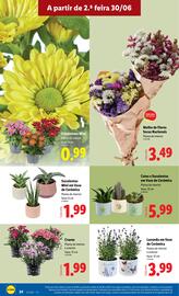Folheto Lidl semana 27 Página 24