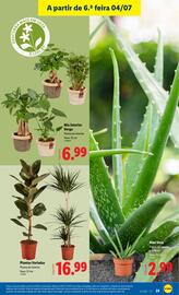 Folheto Lidl semana 27 Página 25