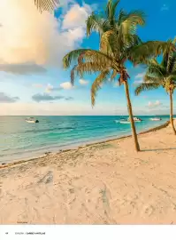 Folleto Nautalia Viajes | Caribe Antillas y Alaska Página 44