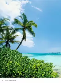 Folleto Nautalia Viajes | Caribe Antillas y Alaska Página 52