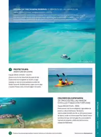 Folleto Nautalia Viajes | Caribe Antillas y Alaska Página 59