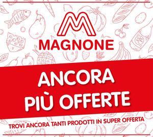 Volantino Magnone Pagina 13