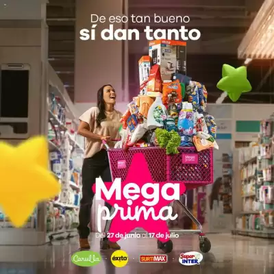 Catálogo Surtimax (válido hasta 17-07)