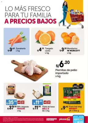Catálogo Plaza Vea (válido hasta 10-07)