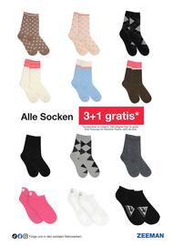 Zeeman Flugblatt Seite 14