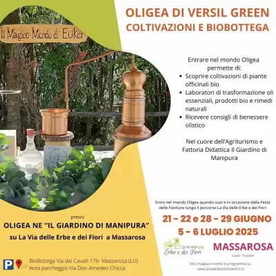 flyer-cover