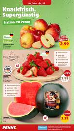 PENNY Prospekt woche 27 Seite 2