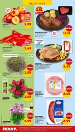 PENNY Prospekt woche 27 Seite 36
