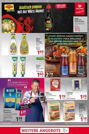 Selgros Prospekt woche 27 Seite 13