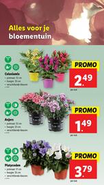 Lidl folder week 27 Pagina 53