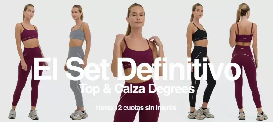Catálogo Basset (válido hasta 20-07)