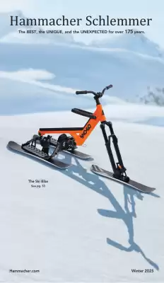 Hammacher Schlemmer Weekly Ad (valid until 31-12)