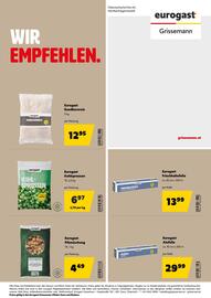 Eurogast Grissemann Flugblatt Seite 28