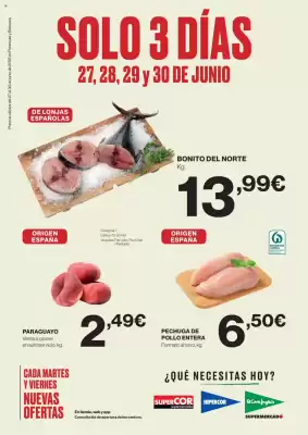 Folleto El Corte Inglés (válido hasta el 30-06)