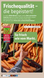 REWE Prospekt woche 27 Seite 31