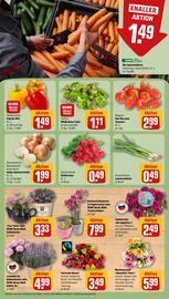 REWE Prospekt woche 27 Seite 5