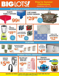 Big Lots Weekly Ad week 26 Page 2