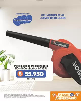 Catálogo Surtifamiliar (válido hasta 3-07)