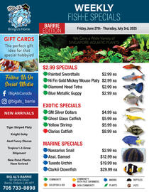 Big Al&#x27;s Pets flyer week 26 Page 1