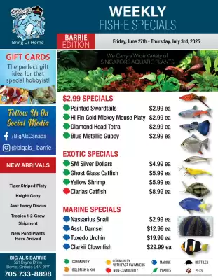Big Al&#x27;s Pets flyer (valid until 3-07)