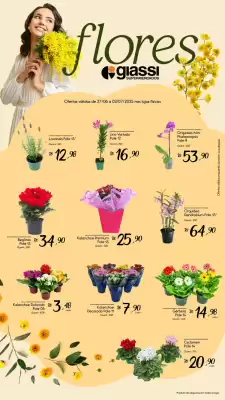 Catálogo Giassi Supermercados (válido até 3-07)