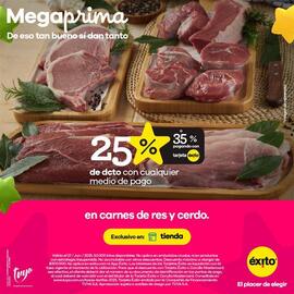 Catálogo Éxito Página 2
