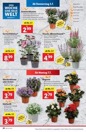 Lidl Flugblatt woche 27 Seite 27