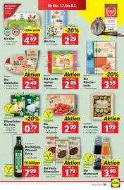 Lidl Flugblatt woche 27 Seite 42