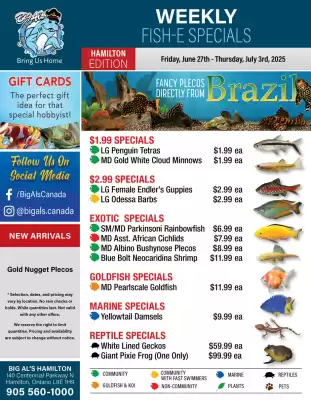 Big Al&#x27;s Pets flyer (valid until 3-07)