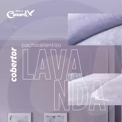 Catálogo Colchas Concord (válido hasta 28-06)