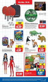 Lidl Prospekt Seite 33