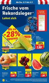 Lidl Prospekt Seite 60