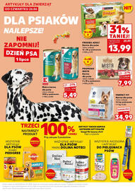 Kaufland gazetka Strona 25