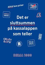 Rema 1000 Kundeavis Side 17