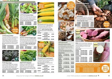 Dobbies leaflet Page 10