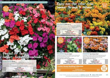 Dobbies leaflet Page 23