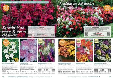 Dobbies leaflet Page 24