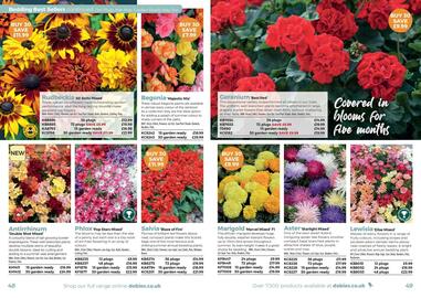 Dobbies leaflet Page 25