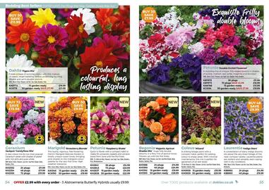 Dobbies leaflet Page 28