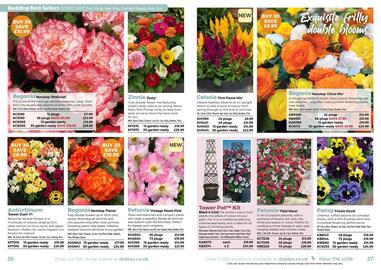 Dobbies leaflet Page 29