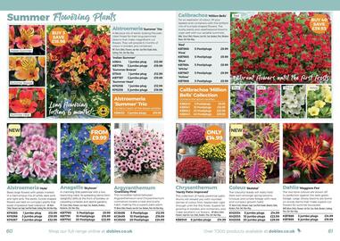 Dobbies leaflet Page 31