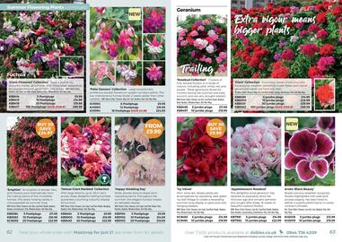 Dobbies leaflet Page 32