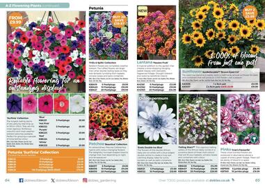 Dobbies leaflet Page 33
