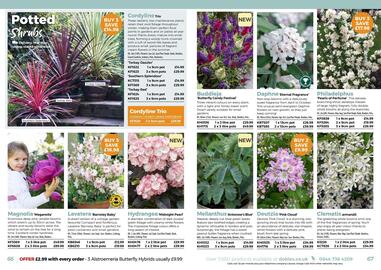 Dobbies leaflet Page 34