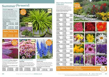 Dobbies leaflet Page 35