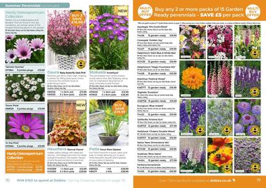 Dobbies leaflet Page 36