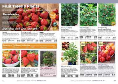 Dobbies leaflet Page 37