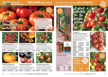 Dobbies leaflet Page 4
