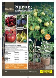Dobbies leaflet Page 41